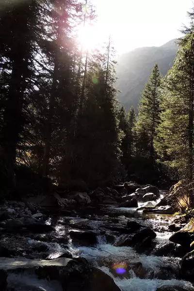 Wildgerlostal © Nationalpark Hohe Tauern